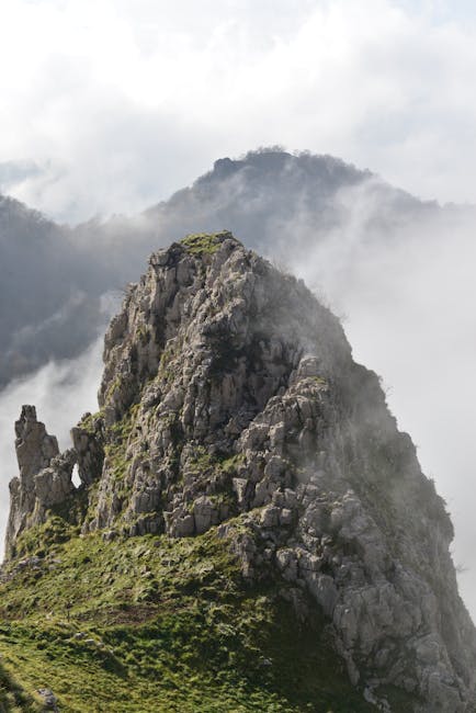 Modern Architecture Foundations